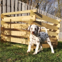 IMG_20220214_155825_1