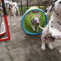 IMG_20220214_160054_1