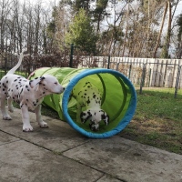 IMG_20220214_160145_1