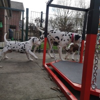 IMG_20220214_160157_1