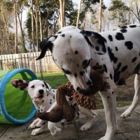 IMG_20220214_160203_1