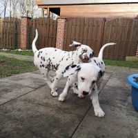 IMG_20220214_160301_1