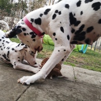 IMG_20220214_160326_1