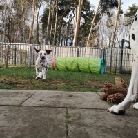 IMG_20220214_160337_1