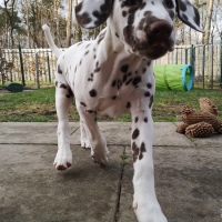 IMG_20220214_160338_1