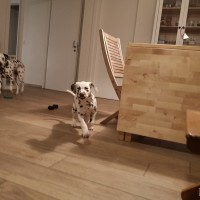 IMG_20220217_181935_1