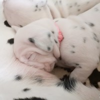 IMG_20211227_113111