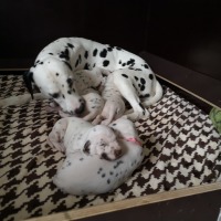 IMG_20211230_102601