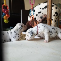 IMG_20220108_105451