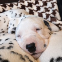 IMG_20220111_161131