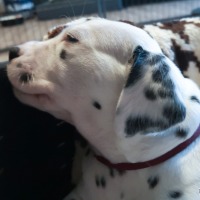 IMG_20220111_161211