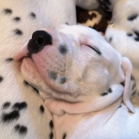 IMG_20220111_161224