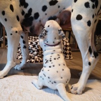 IMG_20220111_162547