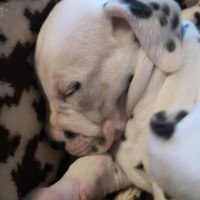IMG_20220111_162705