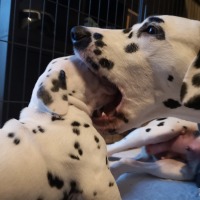 IMG_20220111_164324