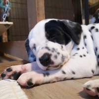 IMG_20220111_164420