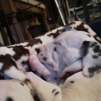 IMG_20220111_164439