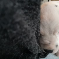 IMG_20220113_143059