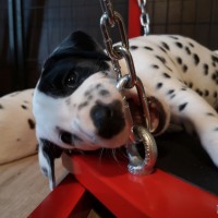 IMG_20220113_150706