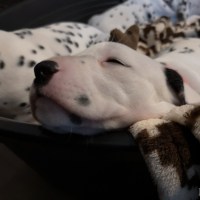 IMG_20220113_151151