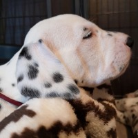 IMG_20220113_151830
