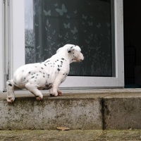 IMG_20220116_141958