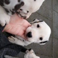 IMG_20220118_115529