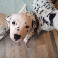 IMG_20220119_135313