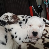 IMG_20220121_135028