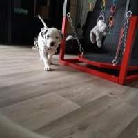 IMG_20220123_121413
