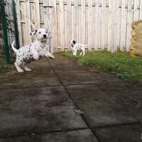 IMG_20220128_122759