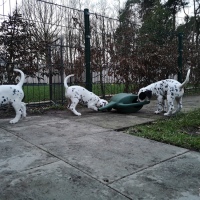 IMG_20220128_170235