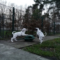 IMG_20220128_170237