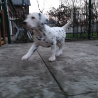IMG_20220128_170330