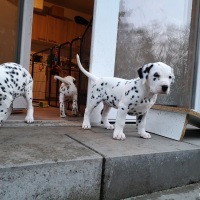IMG_20220128_170353