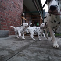 IMG_20220128_170420