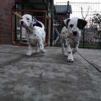 IMG_20220128_170421