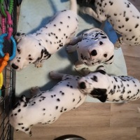 IMG_20220129_084115