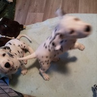 IMG_20220129_084159