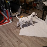 IMG_20220129_084206