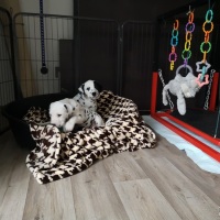 IMG_20220129_125402