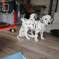 IMG_20220129_125500