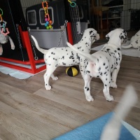 IMG_20220129_125520