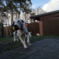 IMG_20220207_133427