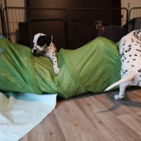 IMG_20220210_091402