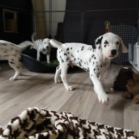 IMG_20220211_131209
