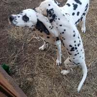 274923206_1531806917216130_6725799575244203267_n