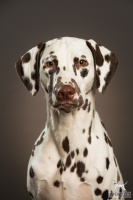 386508335_7418419761506278_3616876583779749854_n