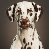 386508335_7418419761506278_3616876583779749854_n