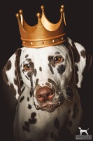 409064986_7668212286527023_2956545418909624468_n